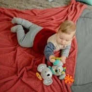 Babyfehn Aktivity koala