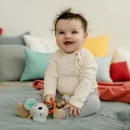Babyfehn Chrastítko koala