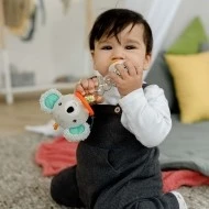 Babyfehn Chrastítko koala