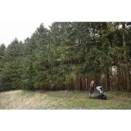  Easywalker Harvey 2 pro sourozence - U lesa