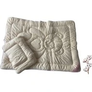 IGH Souprava peřinka a polštář EURO Cotton Sen