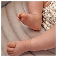  Inglesina Aptica XT Duo - 