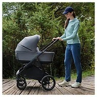  Inglesina Aptica XT Duo - 