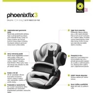  Kiddy Phoenixfix 3 2016 Silverstone 064 - 