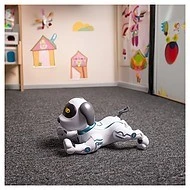  Maxlife Pes na dálkové ovládání MXRD-100 - 