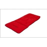 Mountain Buggy Duet Evolution -