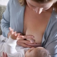 AVENT Chránič bradavek + sterilizační krabička