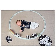 Taf Toys Hrací kruh s aktivitami All Around Me 