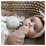 Taf Toys Muchláček králíček Rylee 