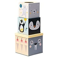 Taf Toys Sada kostek a míčků Severní pól 