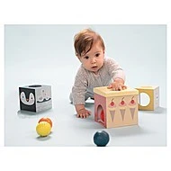 Taf Toys Sada kostek a míčků Severní pól 