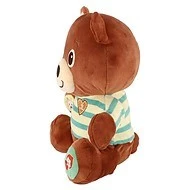  Teddies Medvěd česky mluvící plyš 22x25cm - 