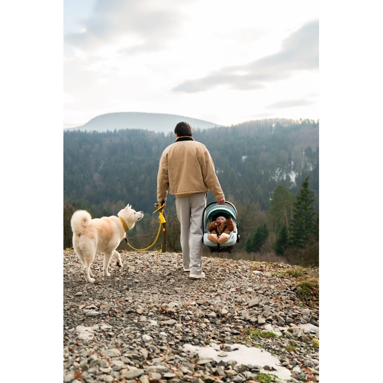 Avionaut Autosedačka Pixel 3 - 