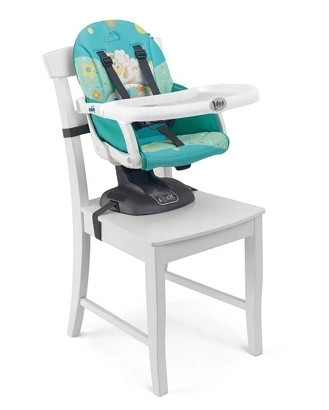 CAM Idea - 