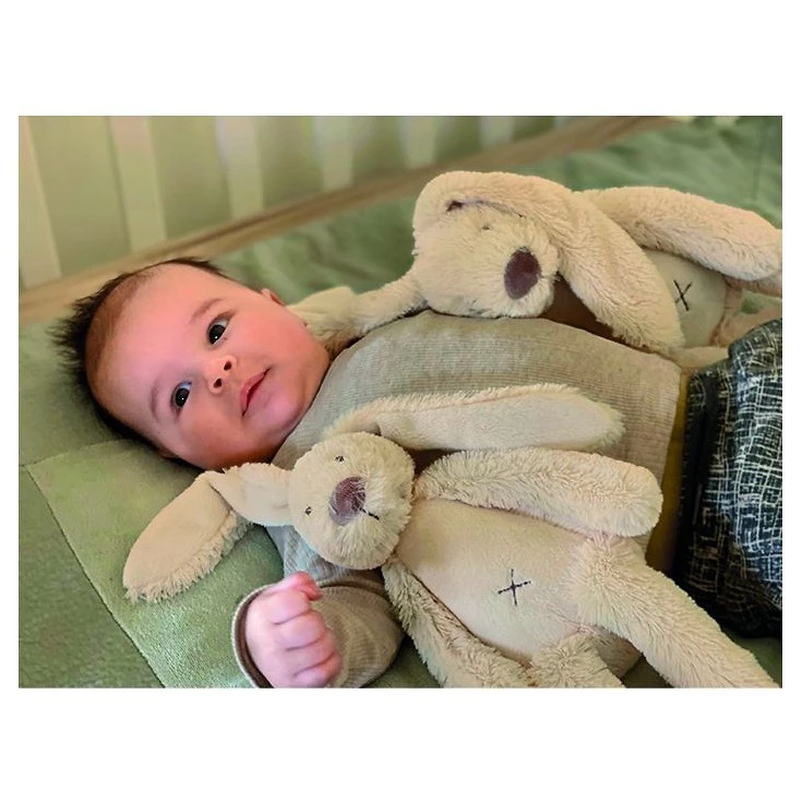 Happy Horse Přítulka králíček Richie 25 cm - 