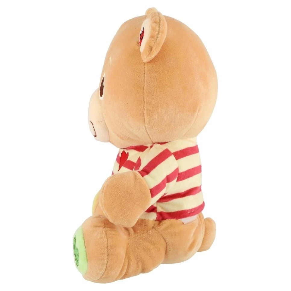 Teddies Medvěd česky mluvící plyš 22x25cm - 